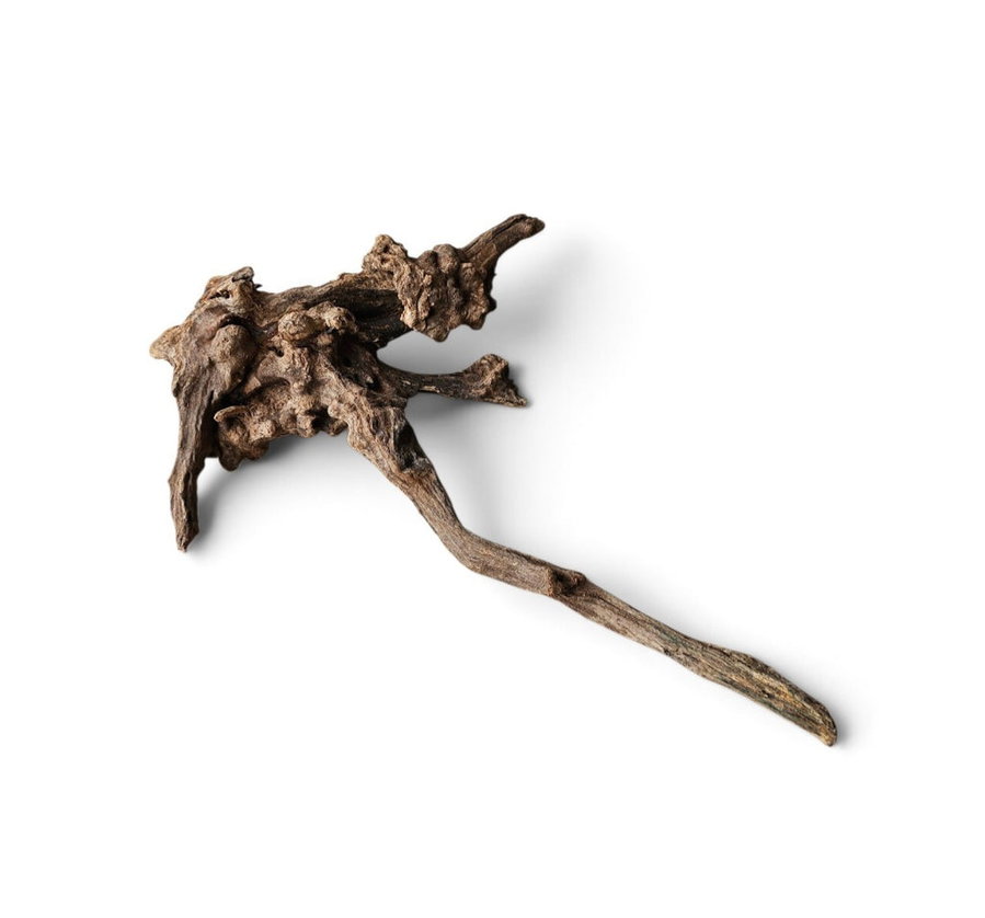 Coral Sinker Wood Nr.617