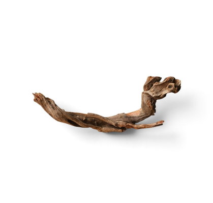 Coral Sinker Wood Nr.619