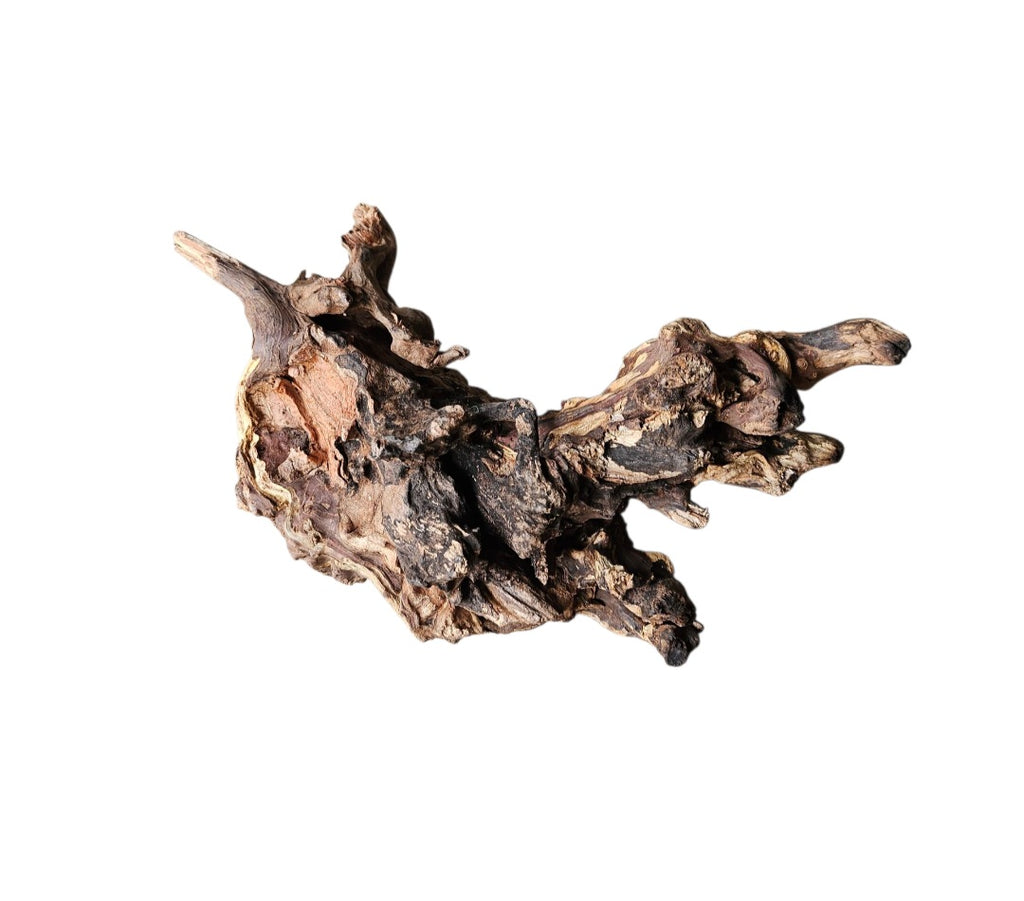 Coral Sinker Wood Nr.620