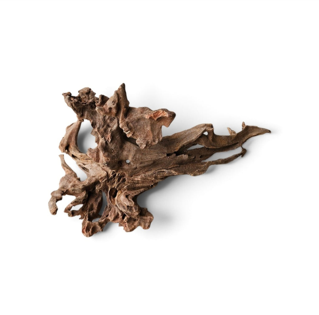 Coral Sinker Wood Nr.621