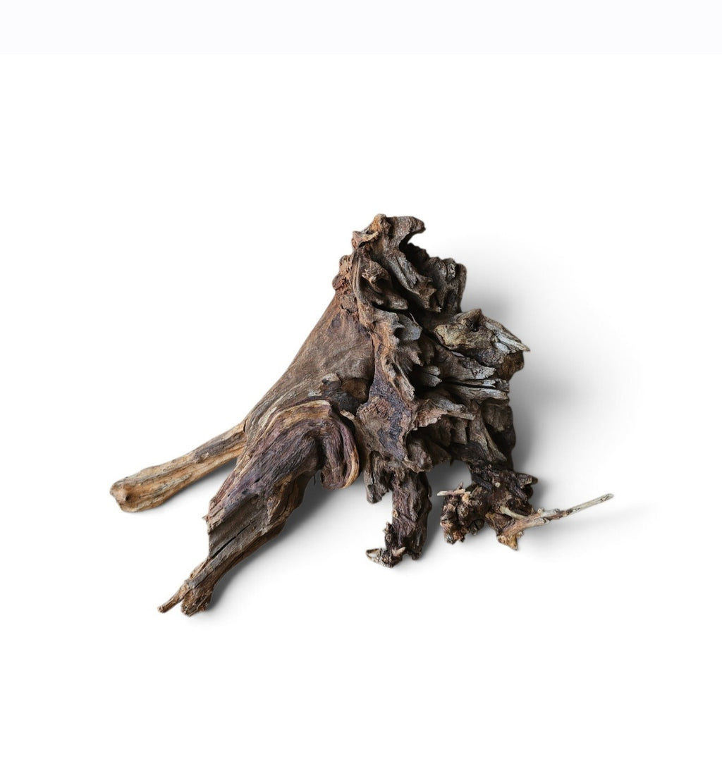 Coral Sinker Wood Nr.622