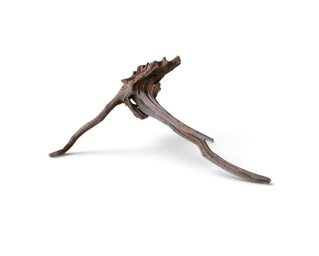 Coral Sinker Wood Nr.624