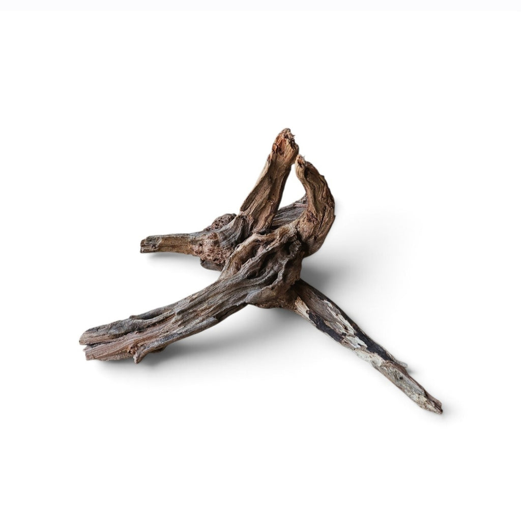 Coral Sinker Wood Nr.626
