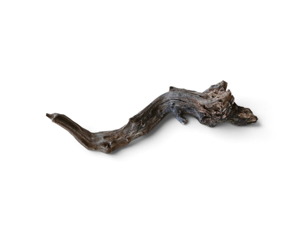 Coral Sinker Wood Nr.627