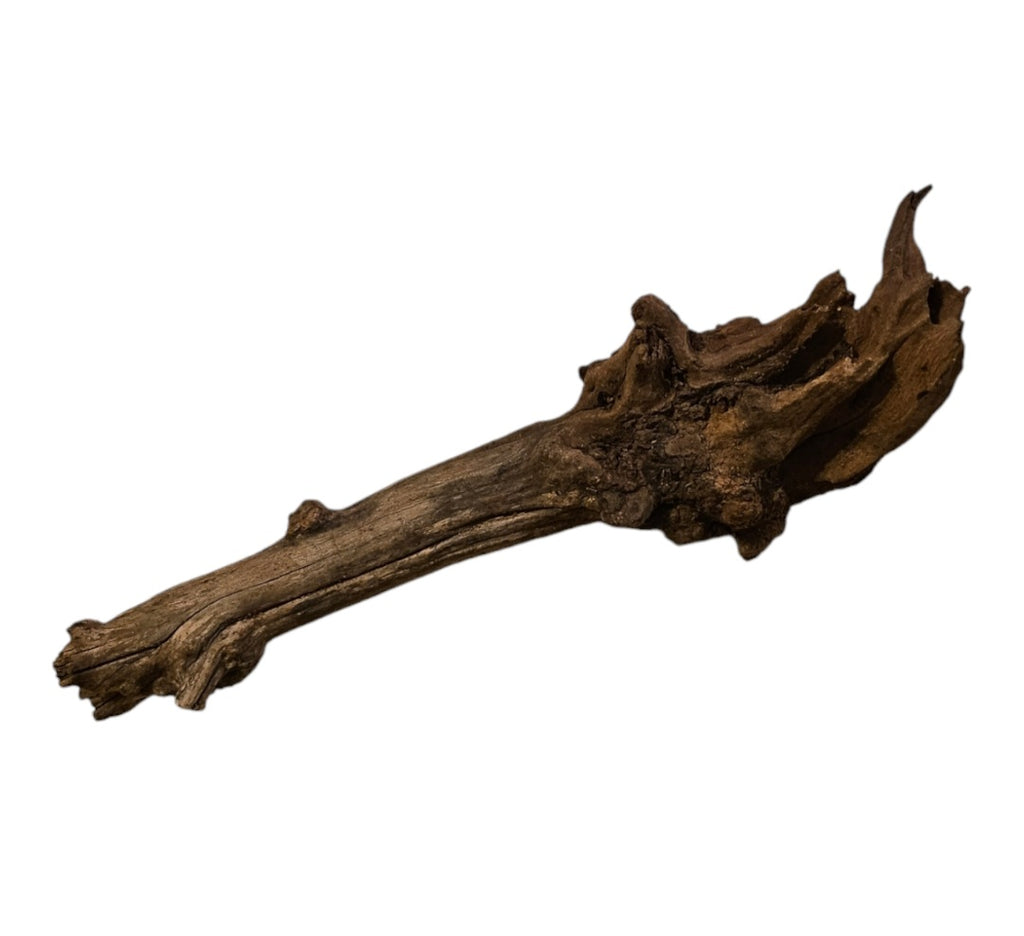 Coral Sinker Wood Nr.629