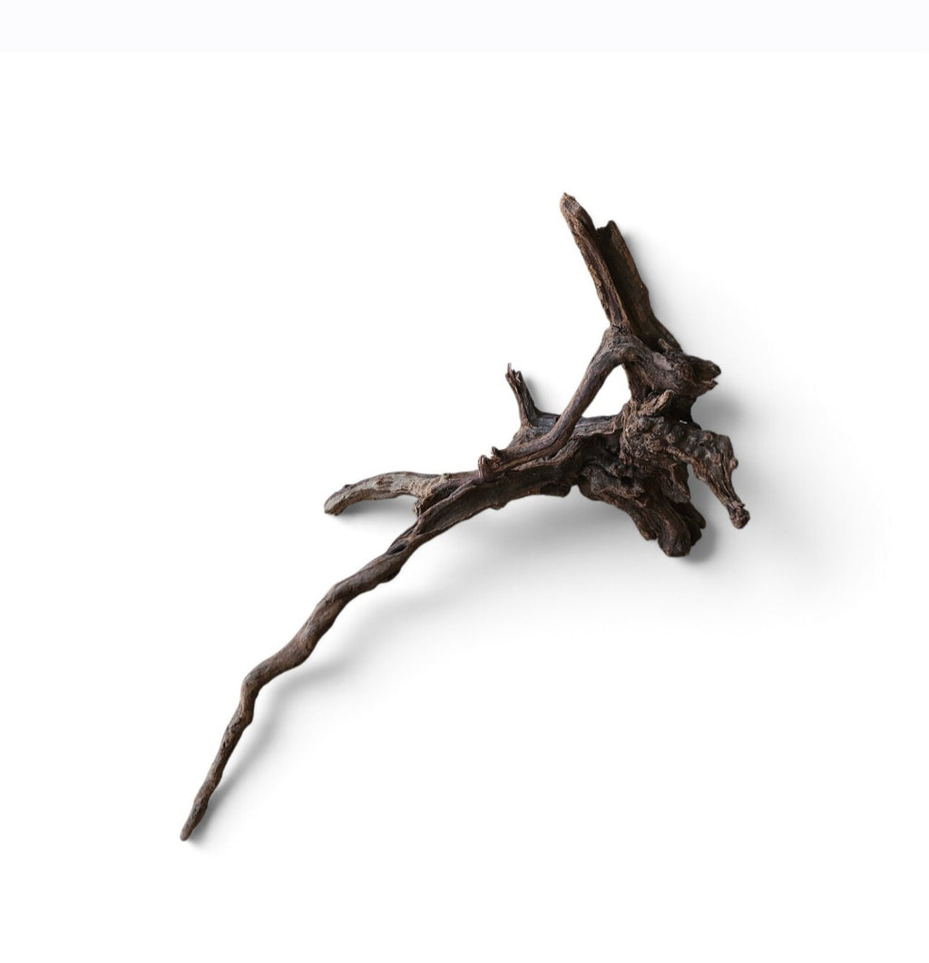 Coral Sinker Wood Nr.630