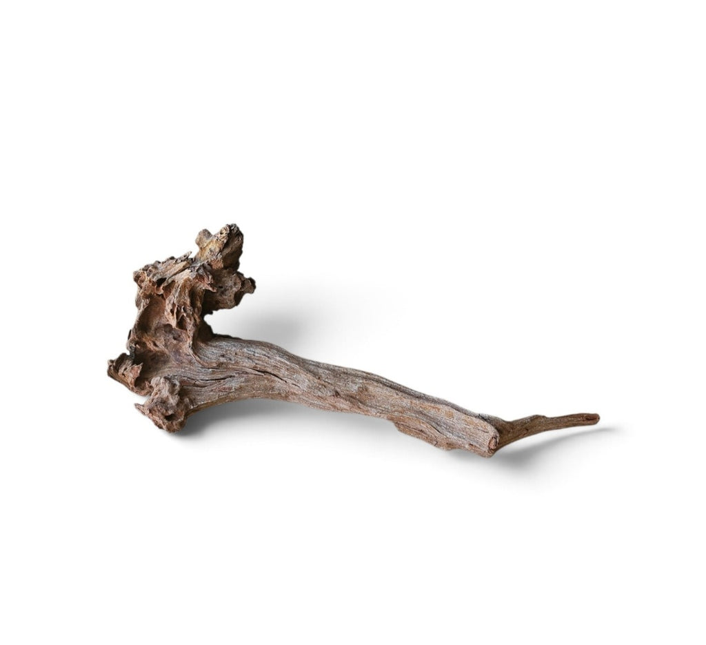 Coral Sinker Wood Nr.631