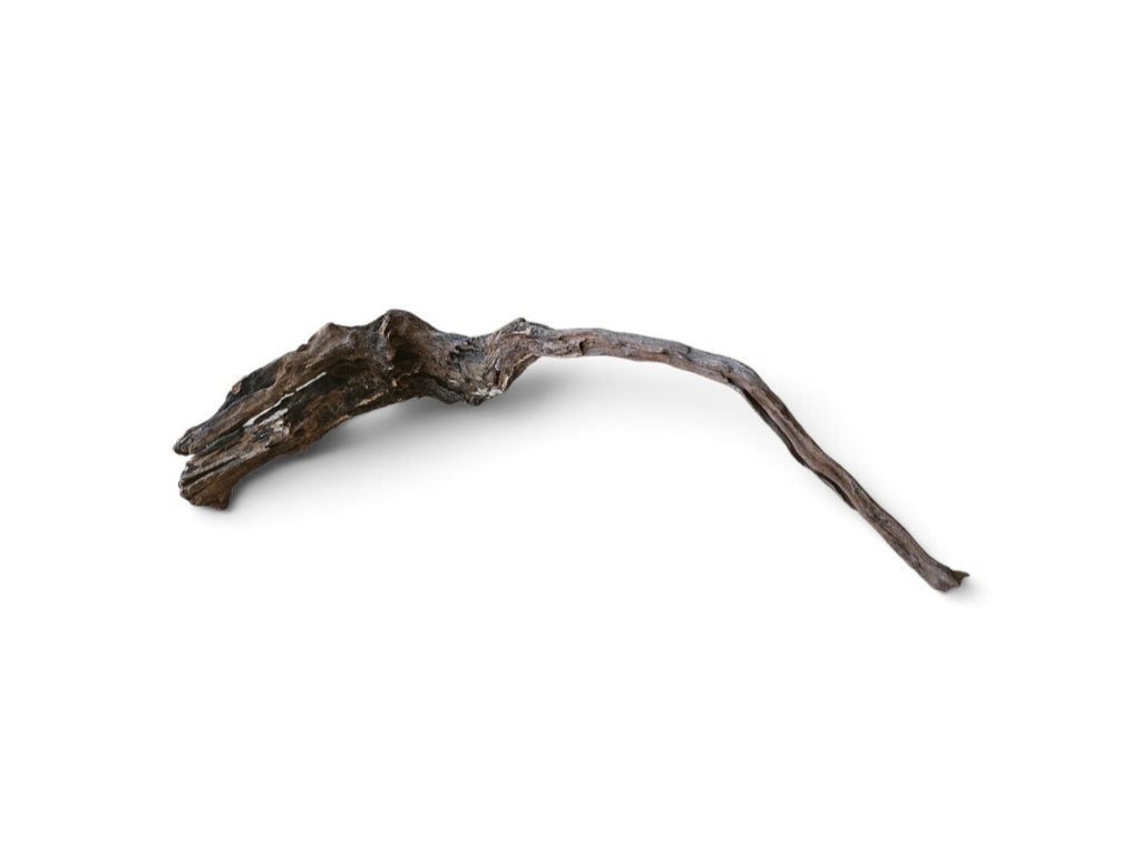 Coral Sinker Wood Nr.637