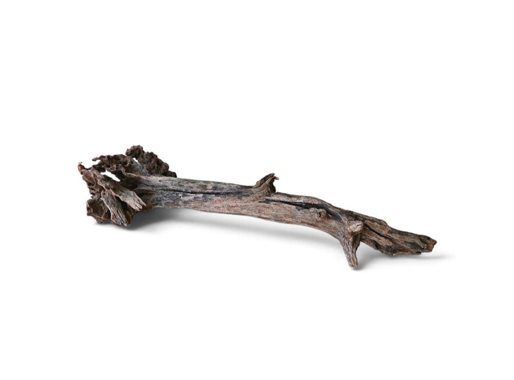 Coral Sinker Wood Nr.638