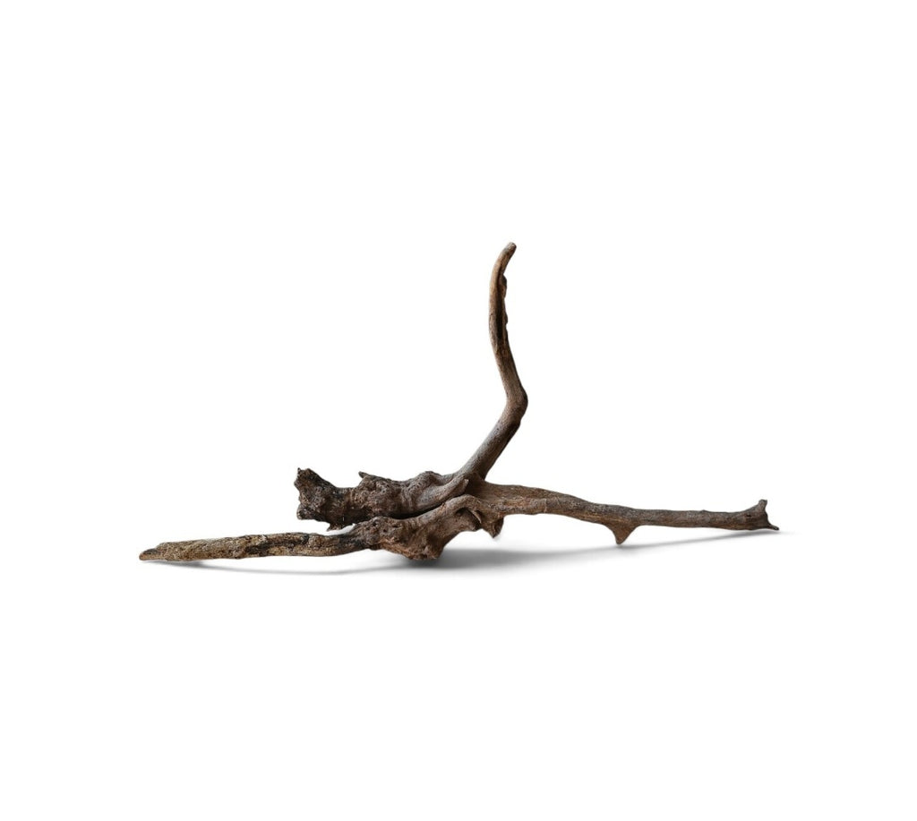 Coral Sinker Wood Nr.640