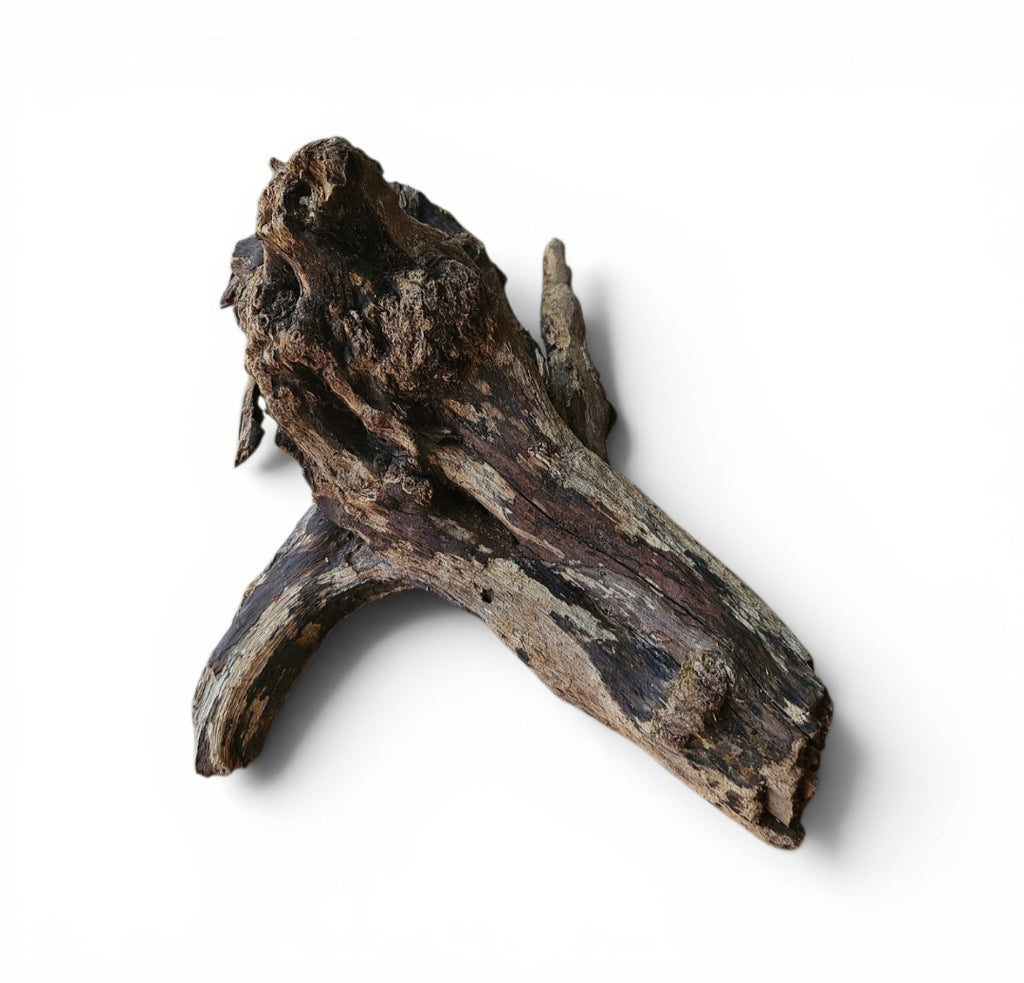 Coral Sinker Wood Nr.641