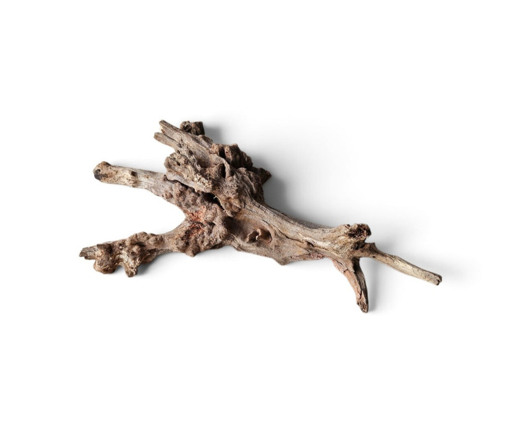Coral Sinker Wood Nr.642
