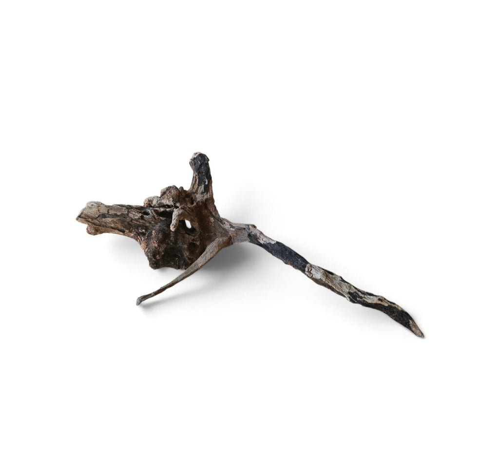 Coral Sinker Wood Nr.643