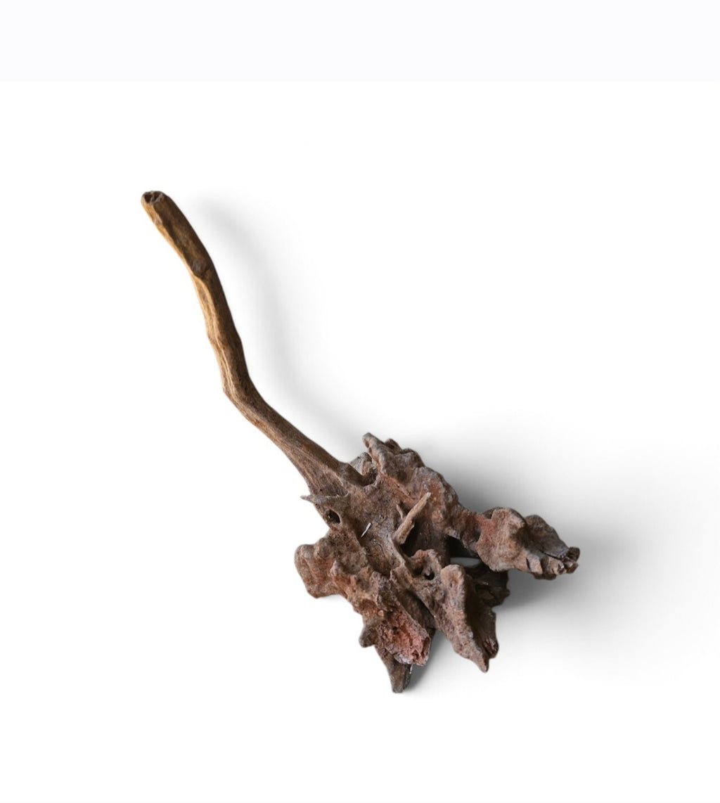 Coral Sinker Wood Nr.644