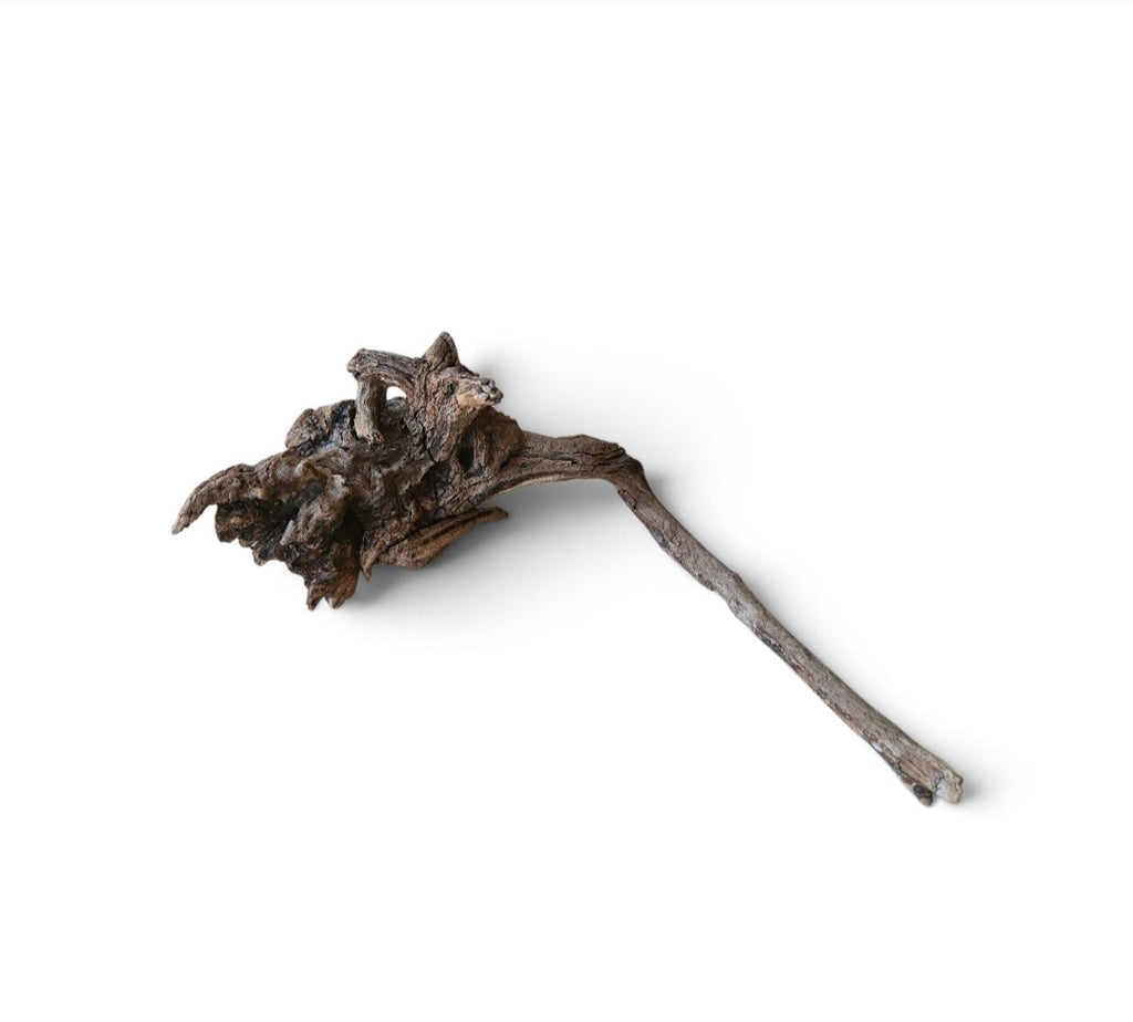 Coral Sinker Wood Nr.645