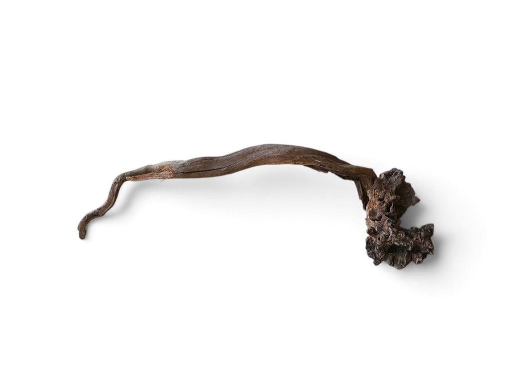 Coral Sinker Wood Nr.646