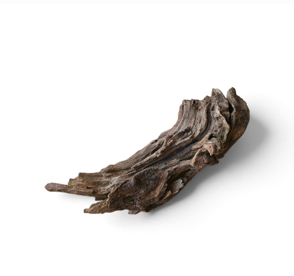 Coral Sinker Wood Nr.647