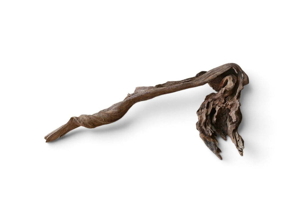 Coral Sinker Wood Nr.650
