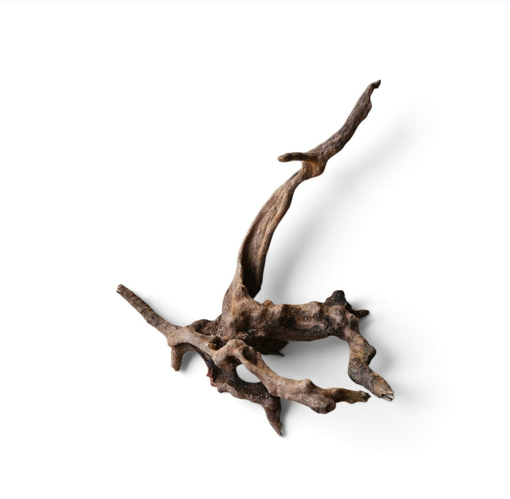 Coral Sinker Wood Nr.653