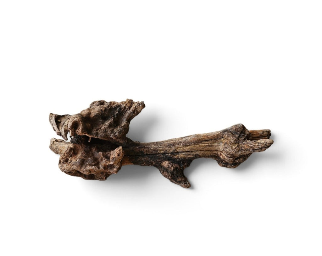 Coral Sinker Wood Nr.654