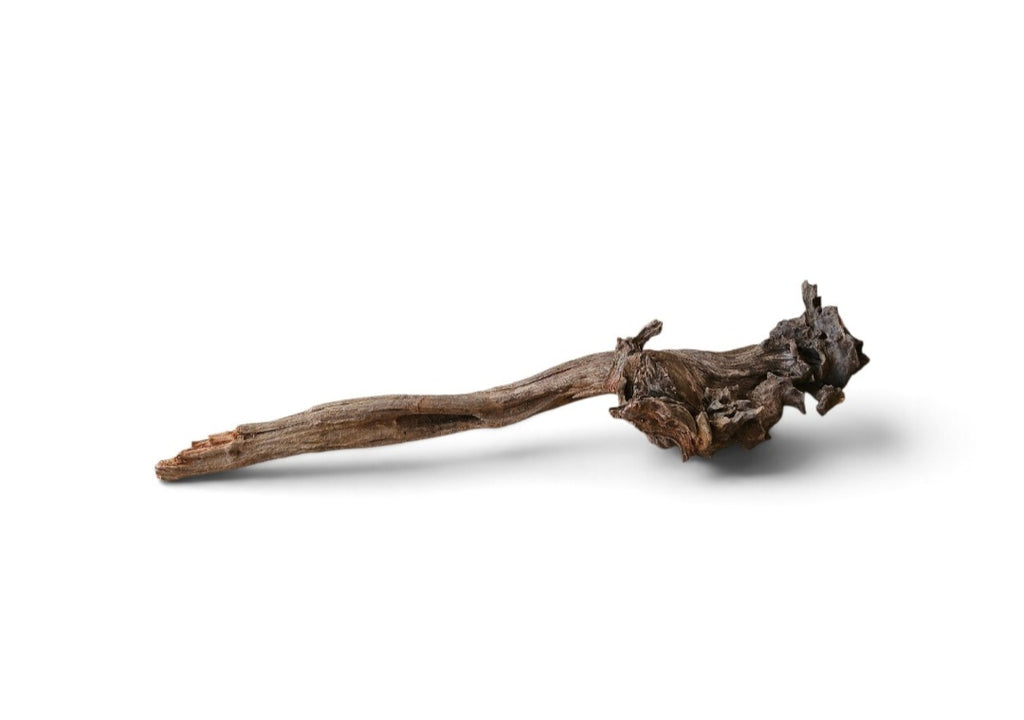 Coral Sinker Wood Nr.655
