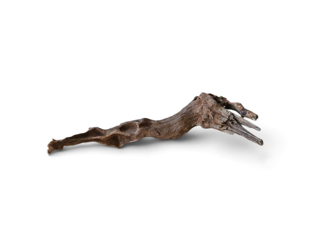 Coral Sinker Wood Nr. 867