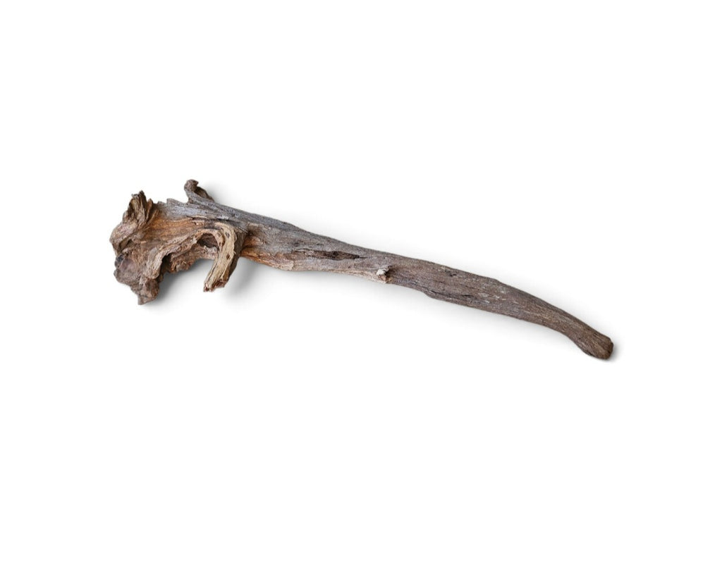 Coral Sinker Wood Nr. 868