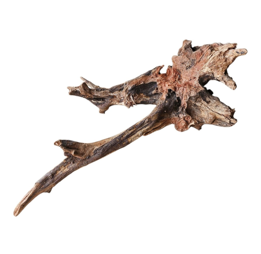 Coral Sinker Wood Nr. 873