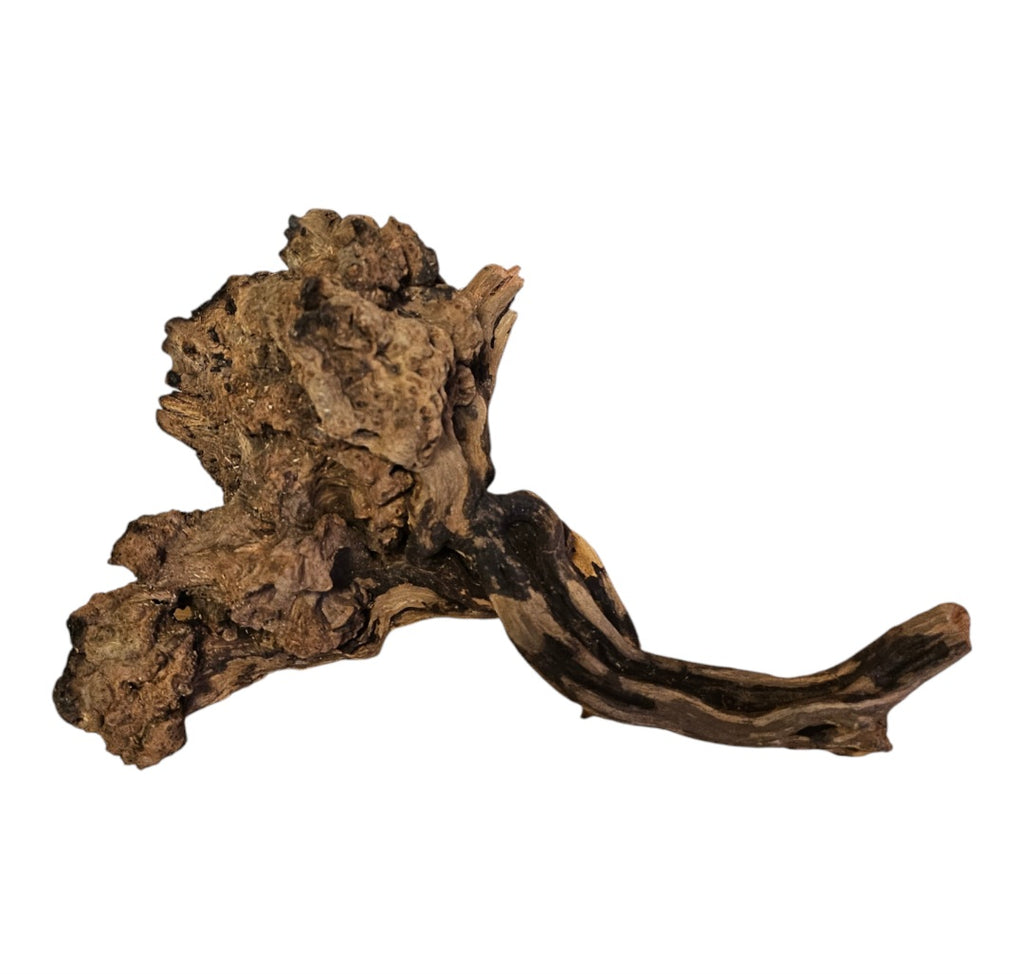 Coral Sinker Wood Nr. 874