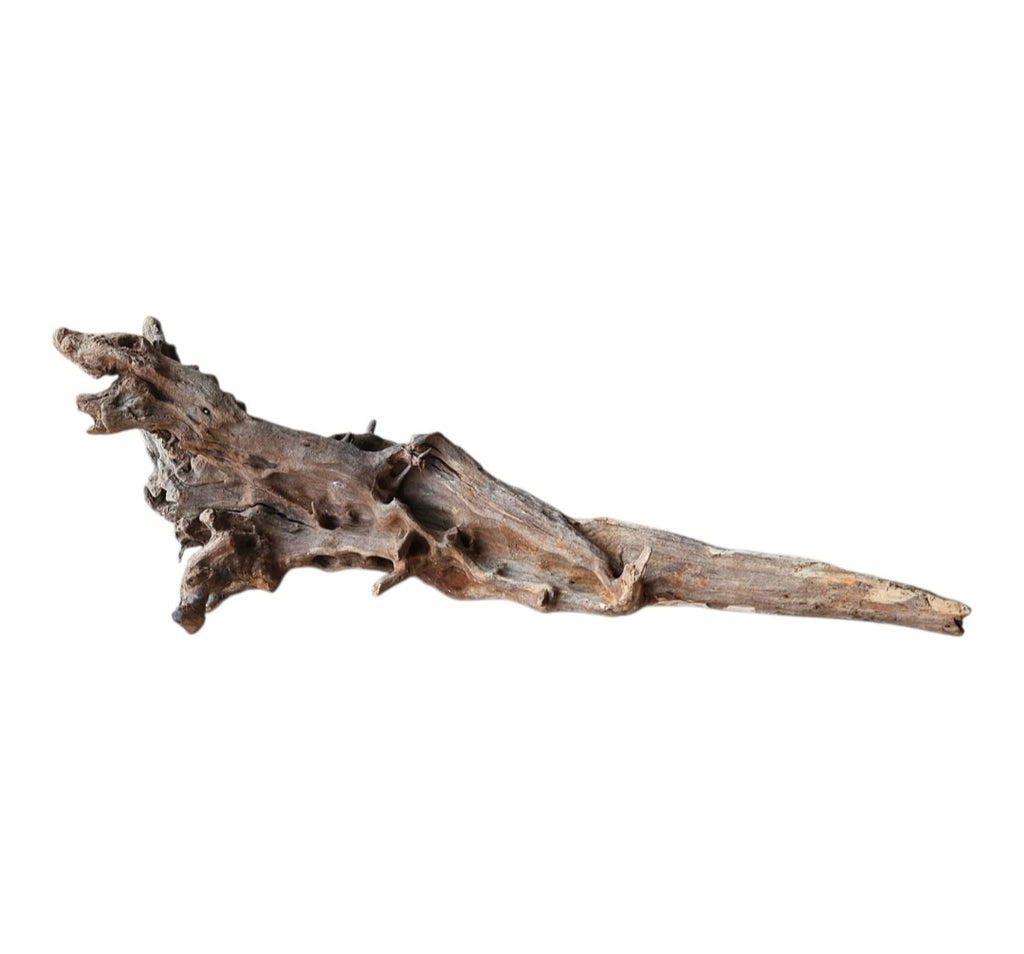 Coral Sinker Wood Nr. 875