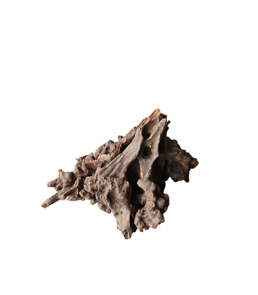 Coral Sinker Wood Nr. 876