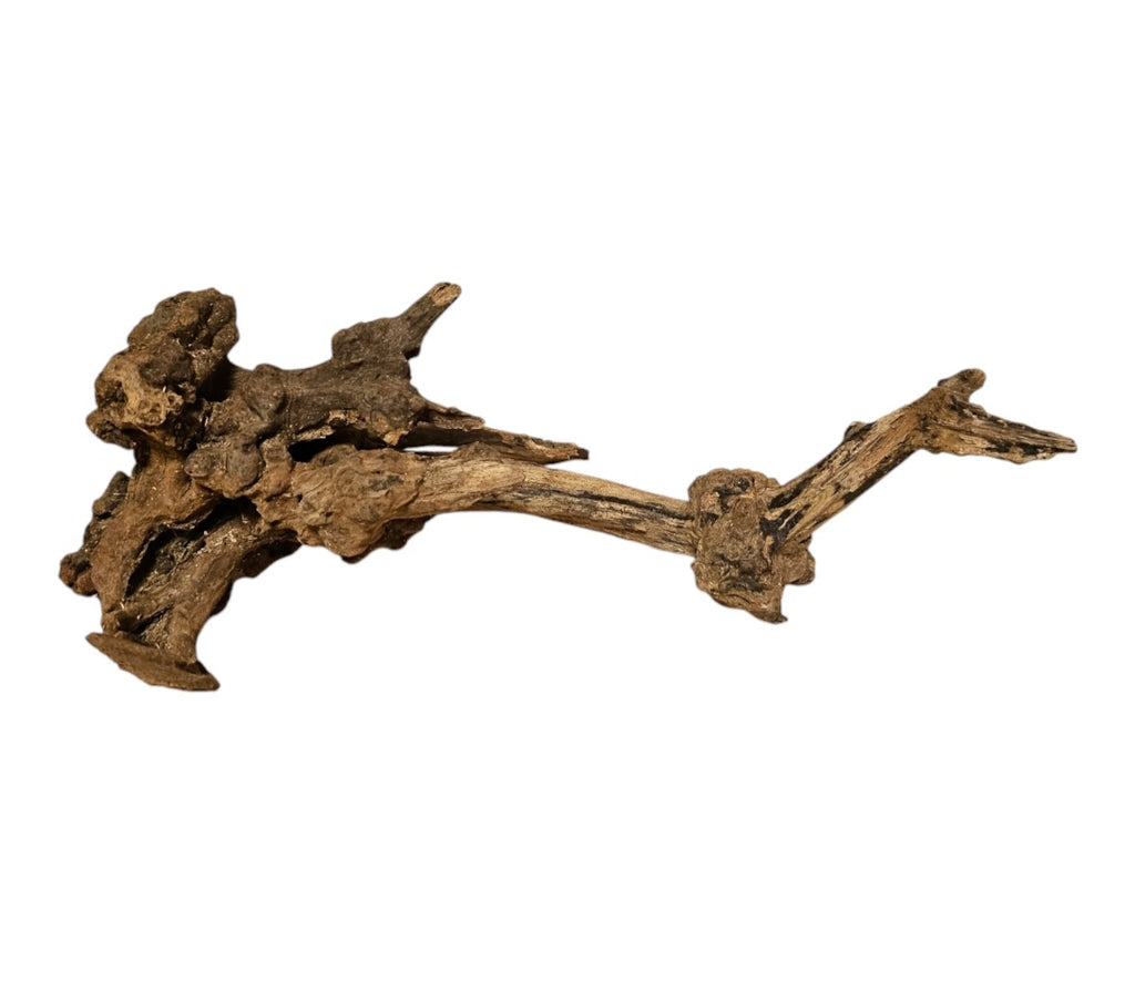 Coral Sinker Wood Nr. 881
