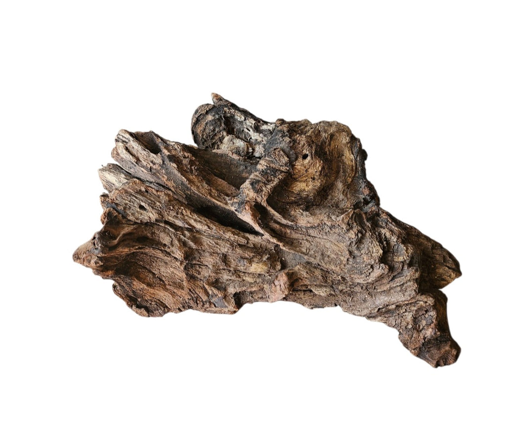 Coral Sinker Wood Nr. 882