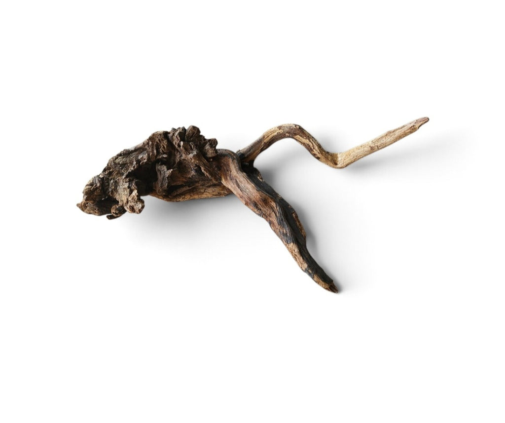 Coral Sinker Wood Nr. 885