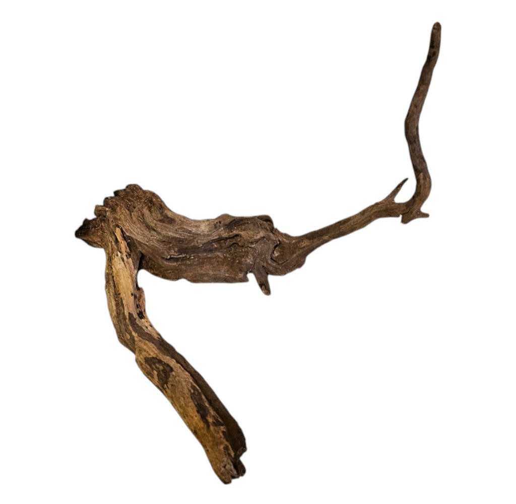 Coral Sinker Wood Nr. 894