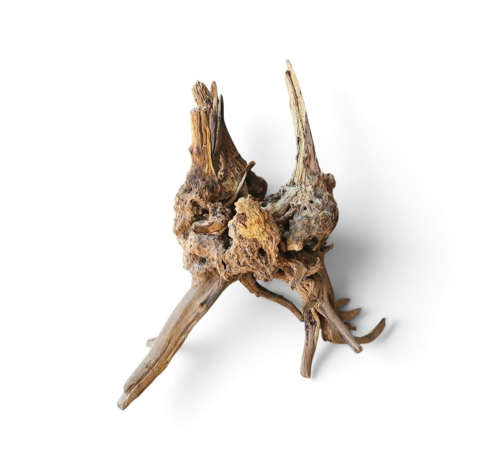 Coral Sinker Wood Nr. 897