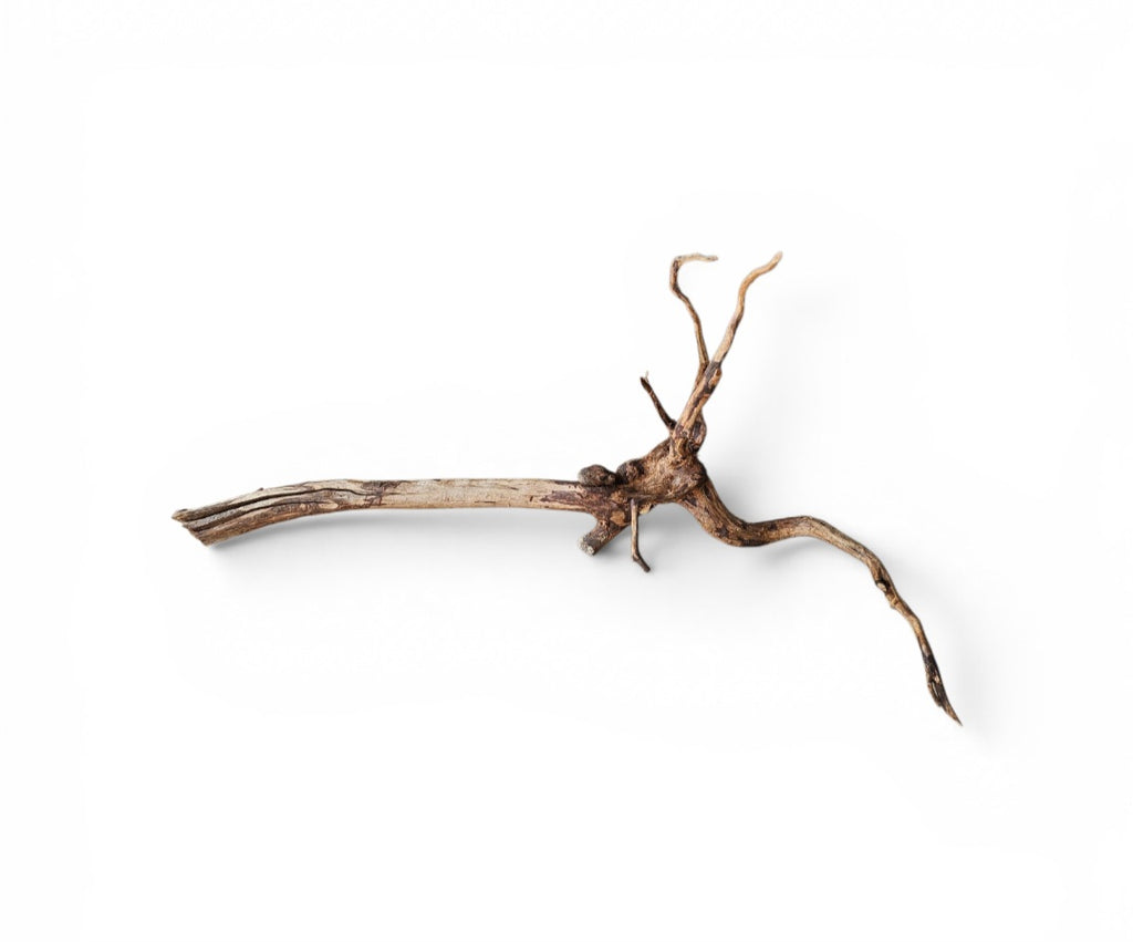 Dark Snake Wood Nr.577
