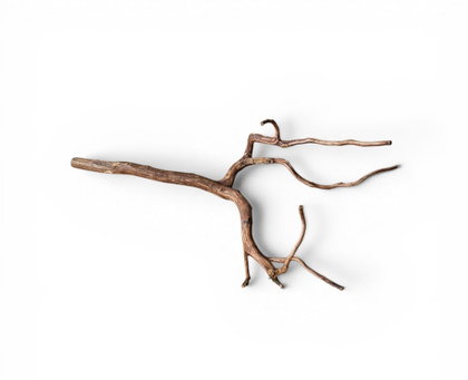 Dark Snake Wood Nr.586