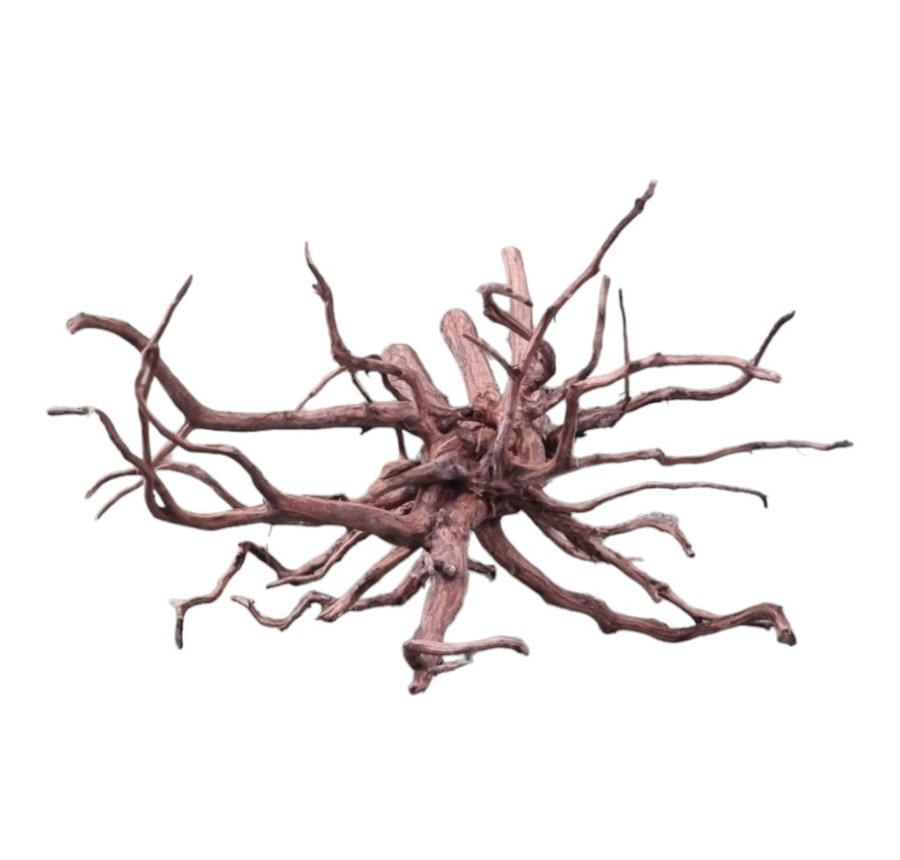 Dark Snake Wood Nr.587