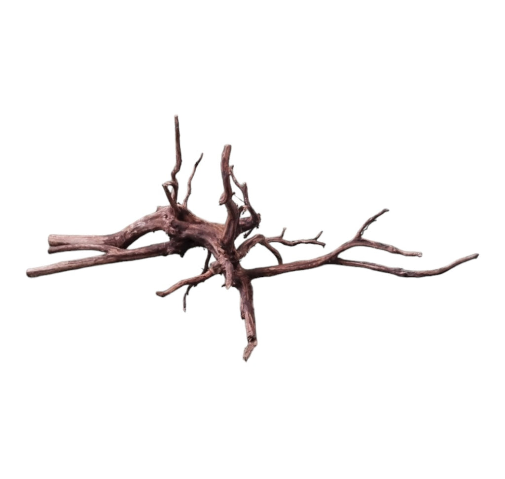Dark Snake Wood Nr.589
