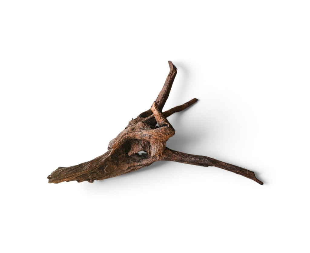 Driftwood / Flusswurzel Nr.1