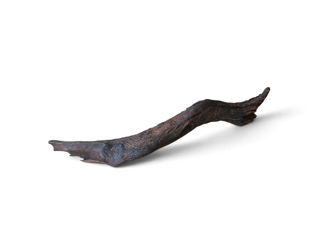 Driftwood / Flusswurzel Nr. 155