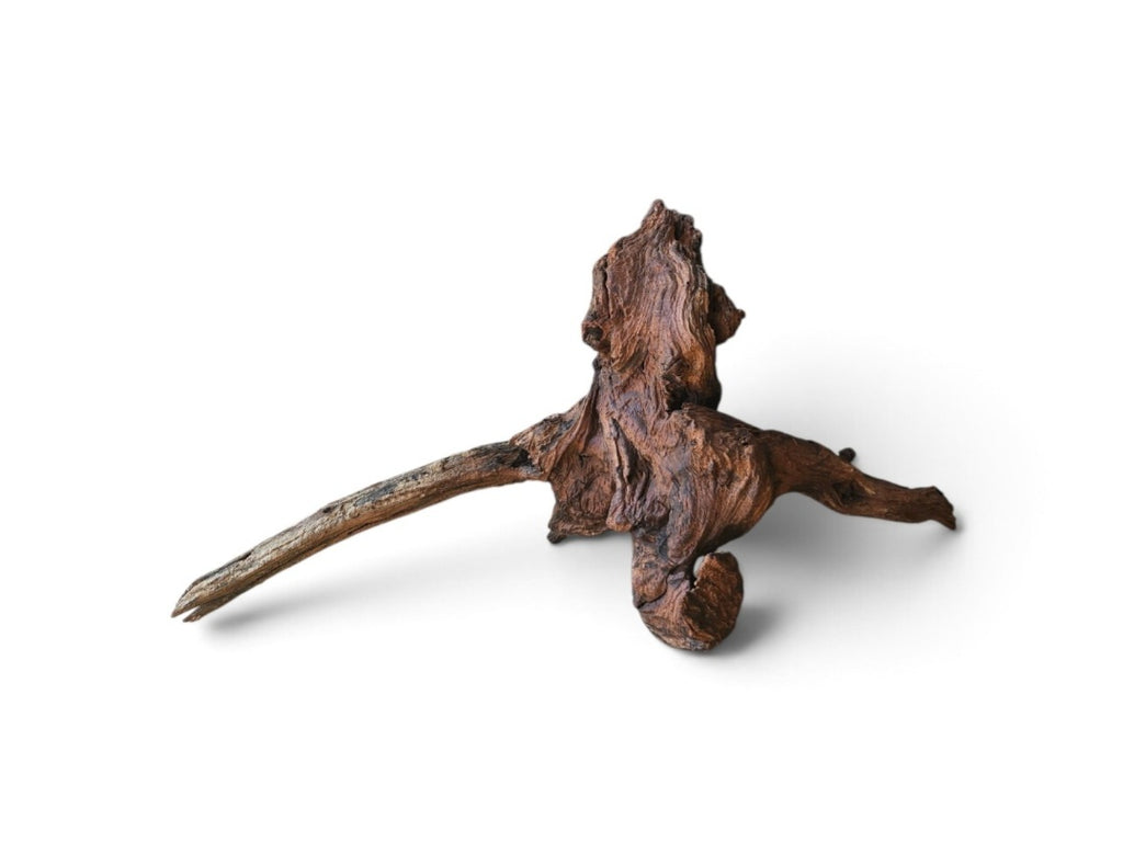 Driftwood / Flusswurzel Nr.176
