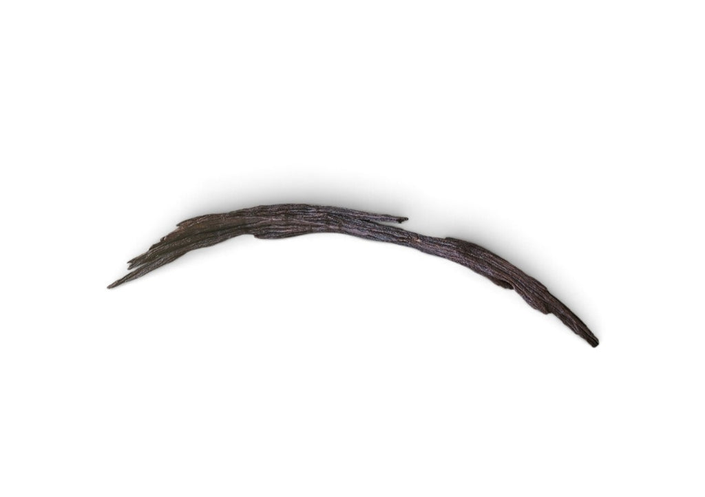 Driftwood / Flusswurzel Nr. 61