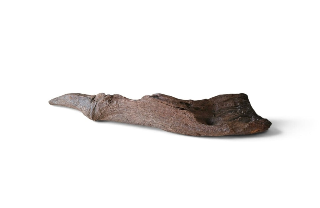 Driftwood / Flusswurzel Nr.214