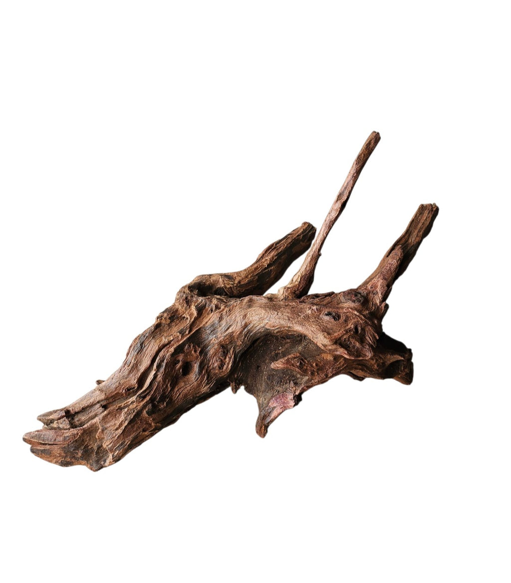 Driftwood / Flusswurzel Nr.244