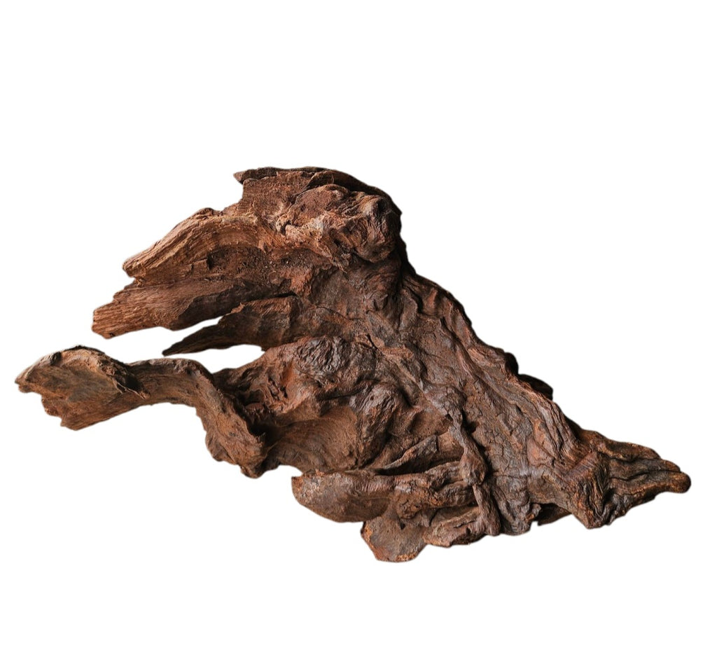 Driftwood / Flusswurzel Nr. 248