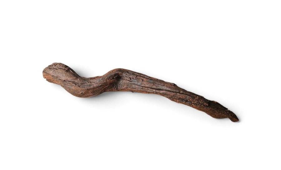 Driftwood / Flusswurzel Nr. 251