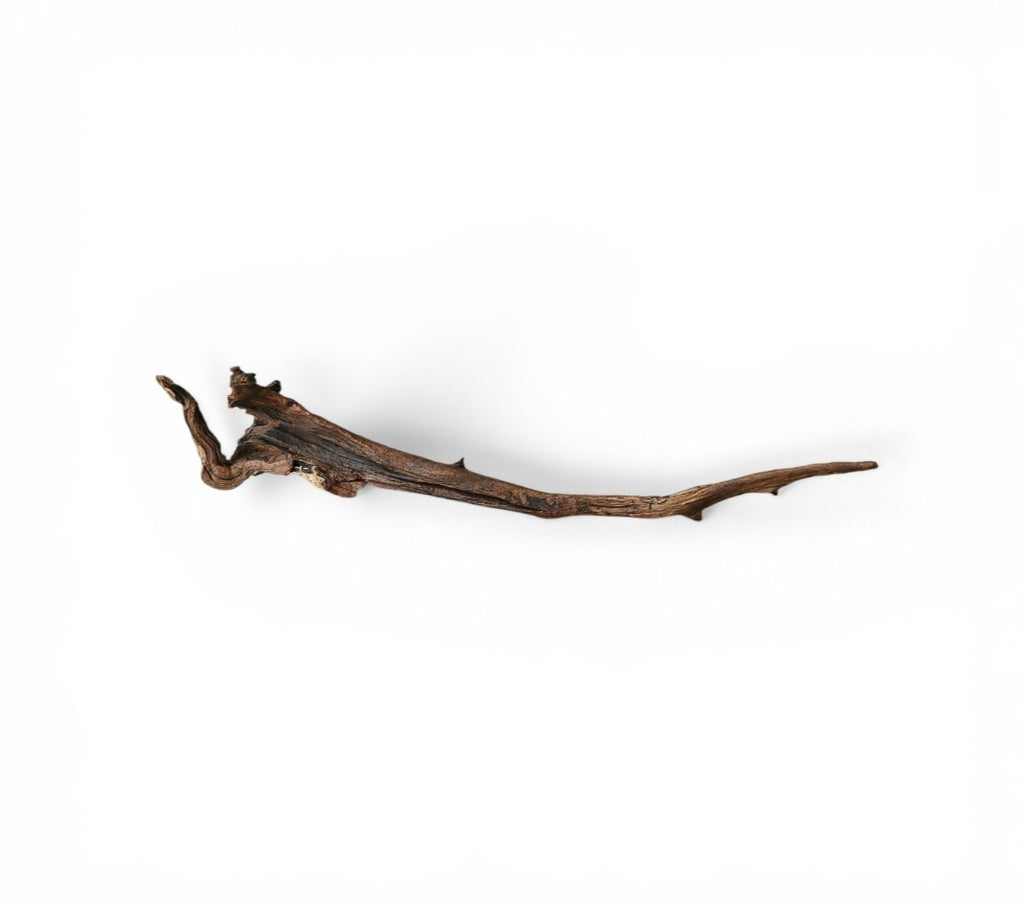 Driftwood / Flusswurzel Nr. 252