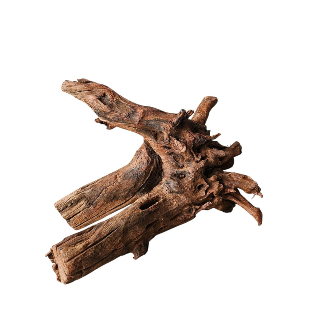 Driftwood / Flusswurzel Nr. 255